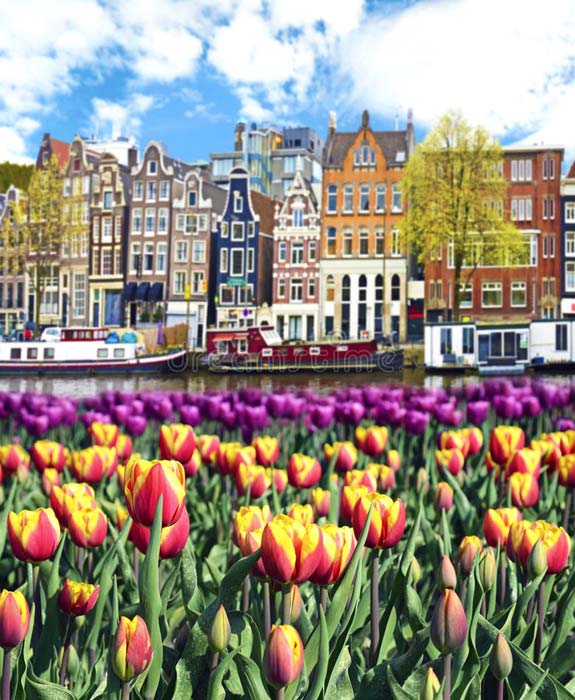 1st International Conference on Quantum Information Technologies Applied to Nature and Society :: QUITANS 2018 :: Amsterdam, the Netherlands :: June 28 – 30, 2018